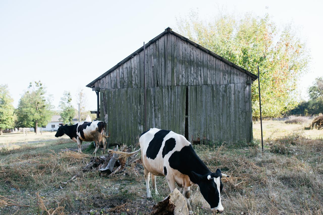 Fermerska Hata Dubno Exterior foto